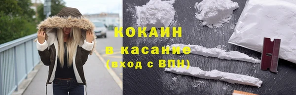 шишки Богданович