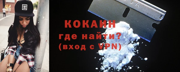 шишки Богданович