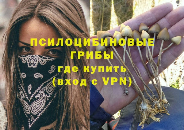 шишки Богданович