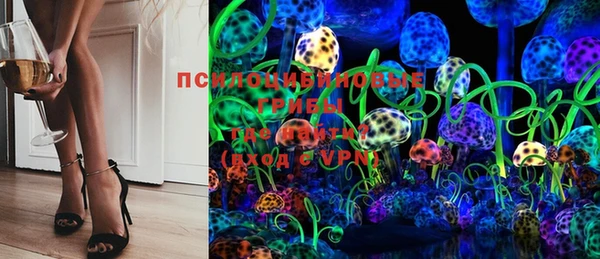 шишки Богданович