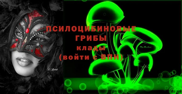 шишки Богданович